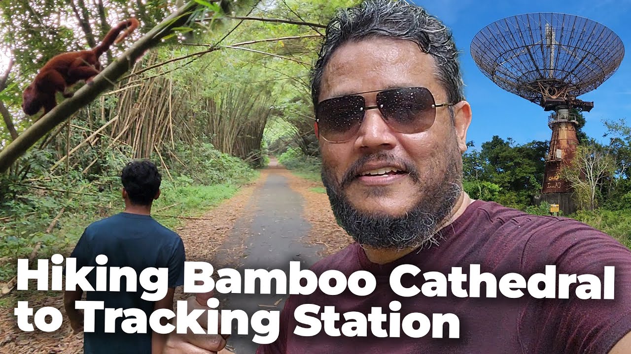 Bamboo Cathedral & Tracking Station Hike