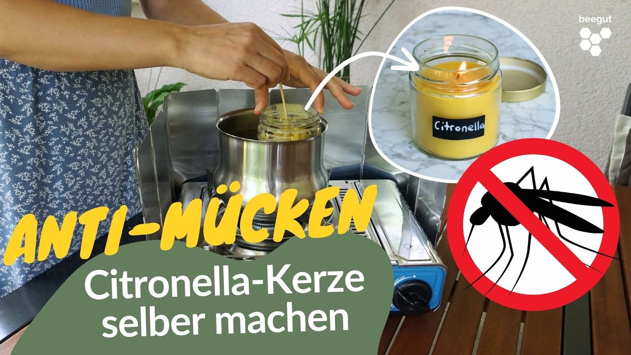 Citronella Kerze gegen Stechmücken selber machen 🦟
