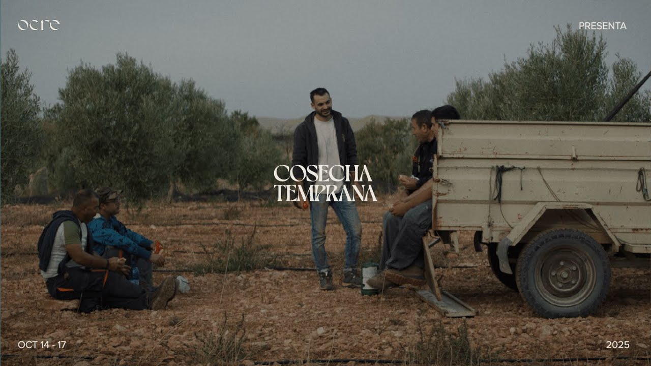 Cosecha Temprana 2025 | 4ta Edici&oacute;n OCRE - Aceite de Oliva Virgen Extra