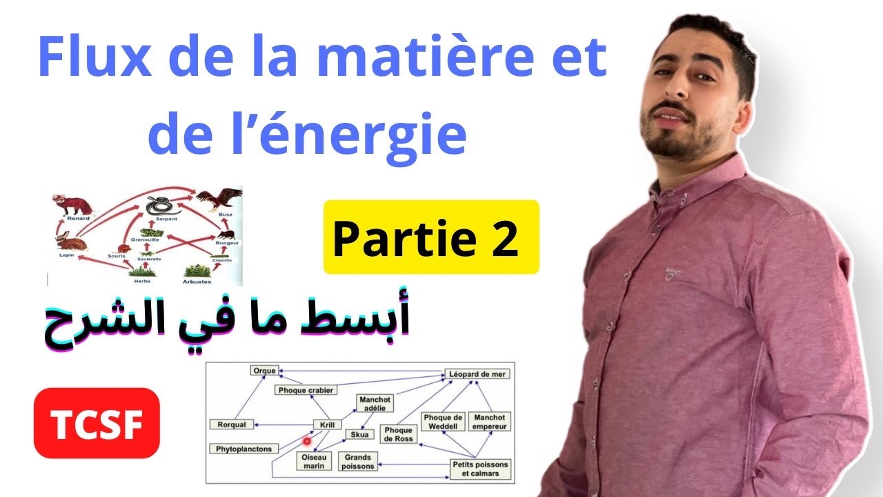 TCSF : Flux de la matière et de l’énergie dans l’écosystème | Partie 2 | شرح خيالي 🥵✅