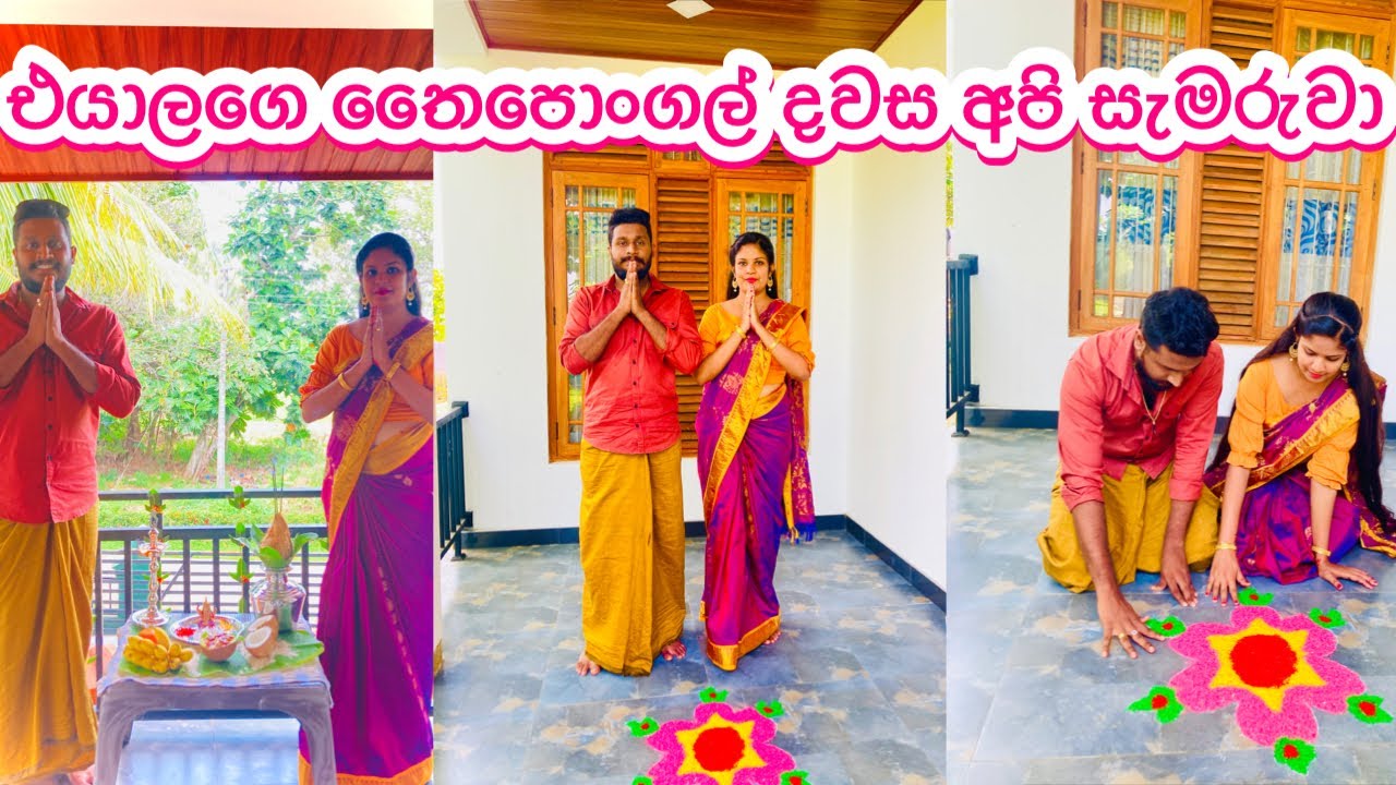 තෛපොංගල් දවස අපි සැමරුව විදිය | අපි හැදුව රසම රස පොංගල් බත් එක | Thaipongal Celebration | My diary