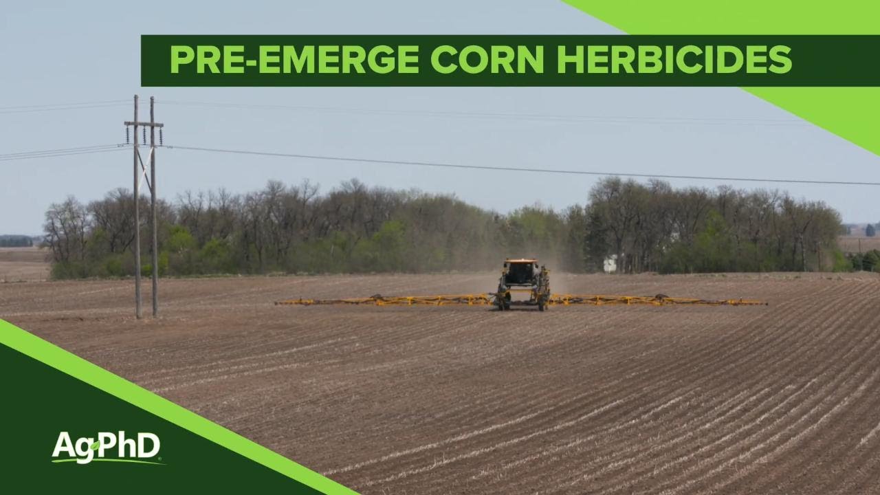 Pre-Emerge Corn Herbicides (From Ag PhD Show #1092 - Air Date 3-10-19)