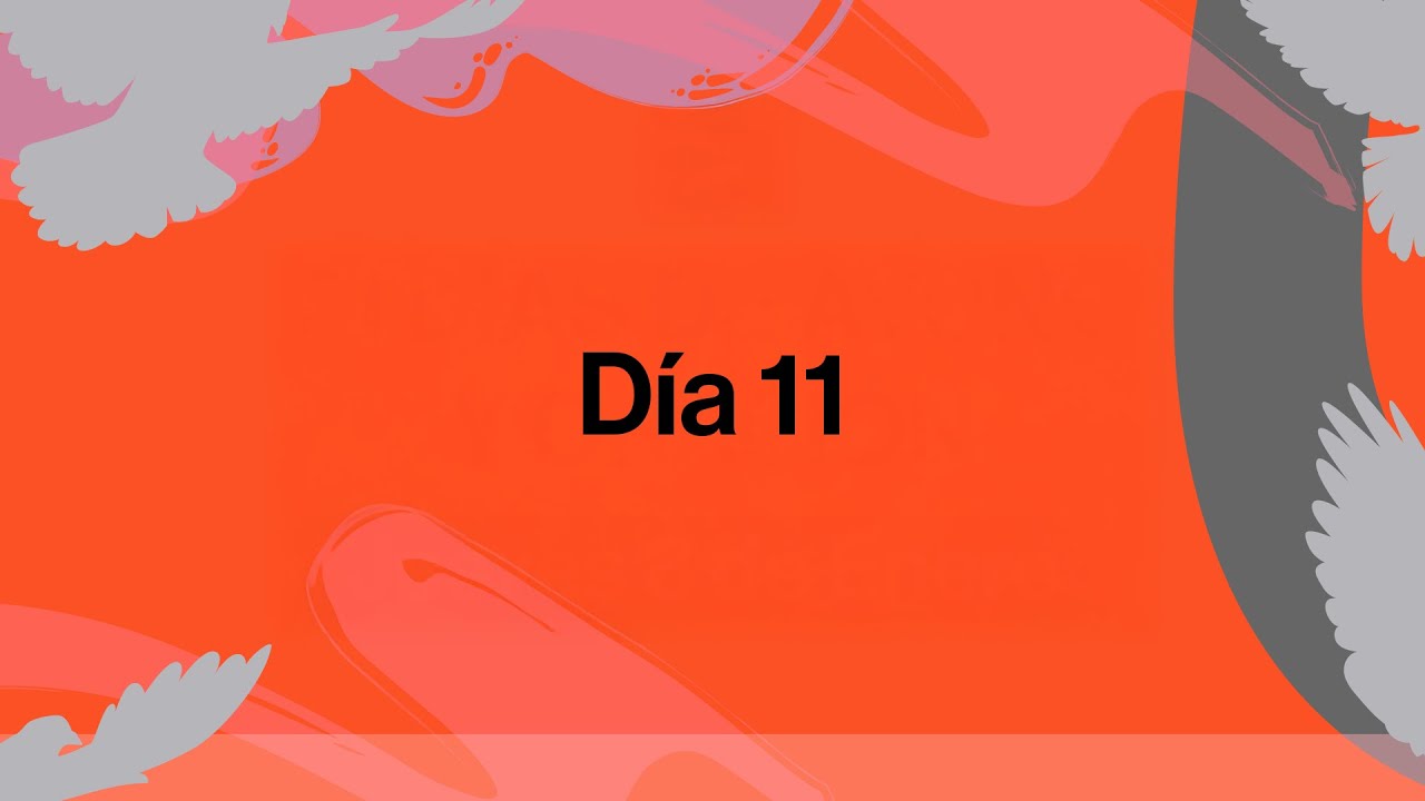 Día 11: Milagros en el caos