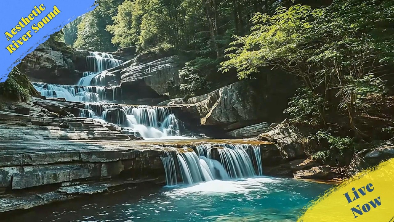 You Are Exactly Where You Need To Be 🌊 nature sounds for sleeping ASMR