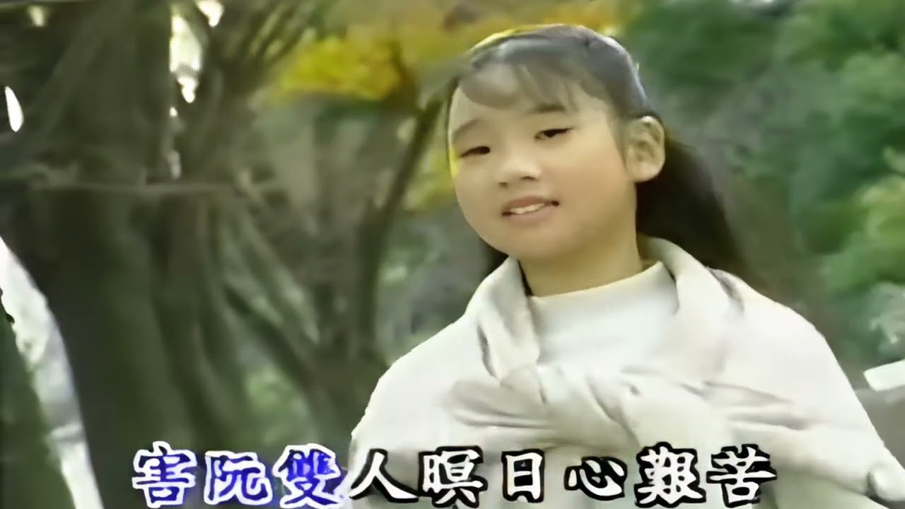 方婉真-絕情風雨 音質後製版MV