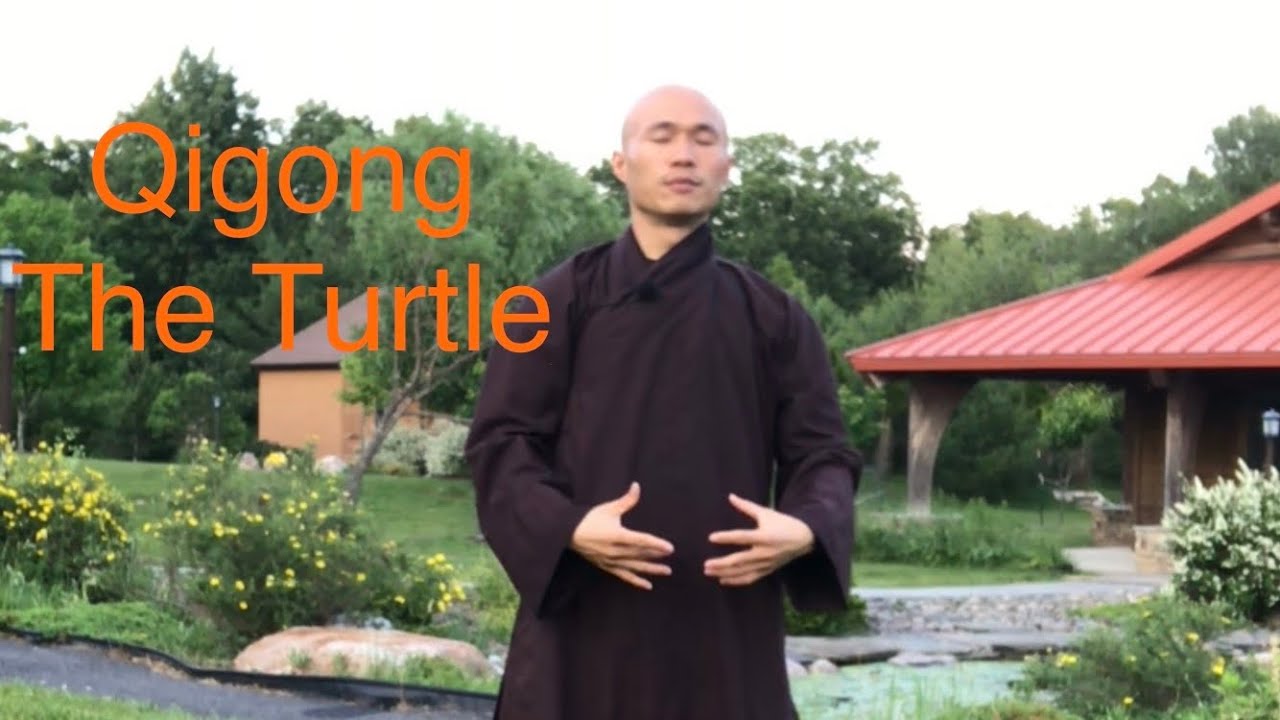 Qigong The Turtle/5 Minute Qigong