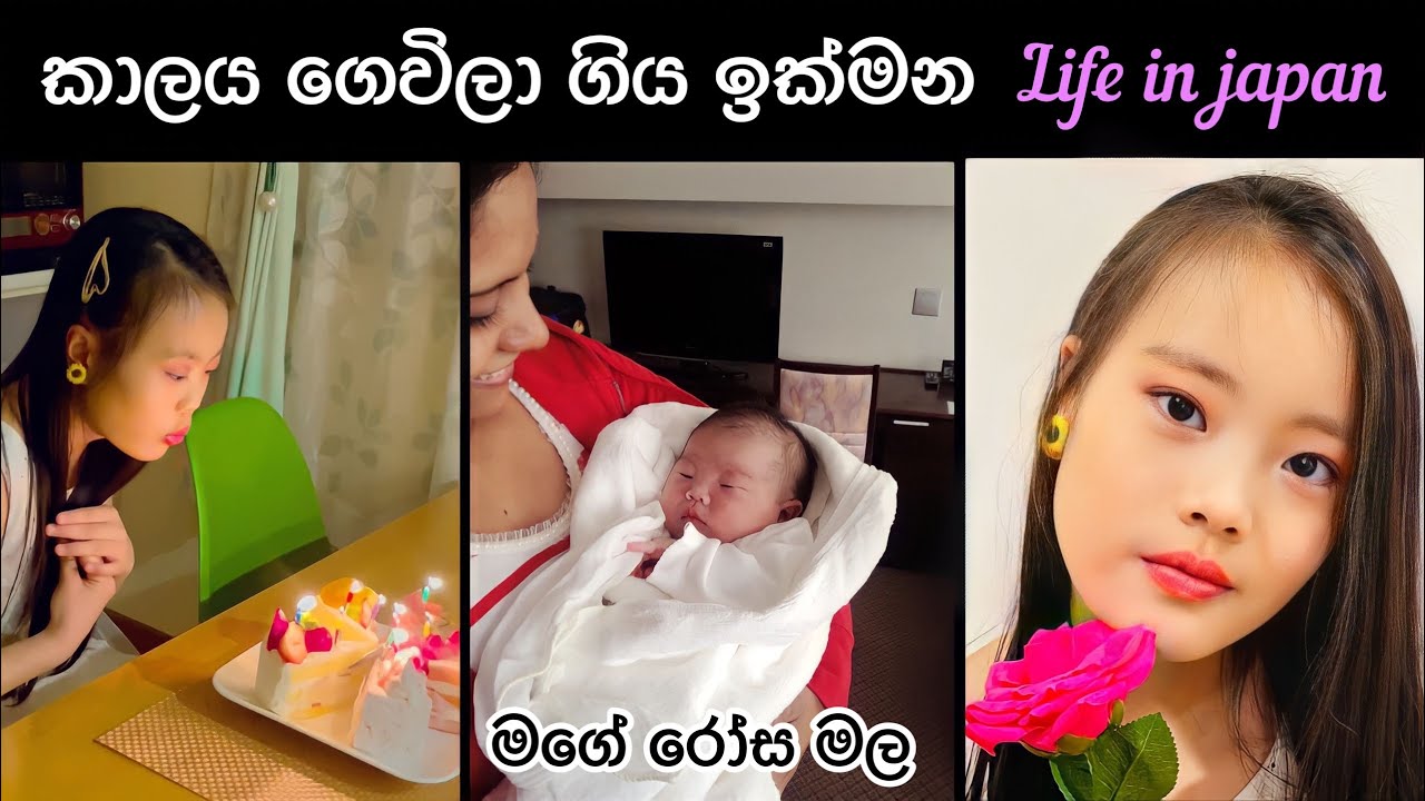 ඇත්තටම ඉක්මනින්ම ගෙවිලා ගියා ❤️💜 | Life in japan 🇯🇵🇱🇰😍 එයා දැන් ලොකුයි ❤️💜