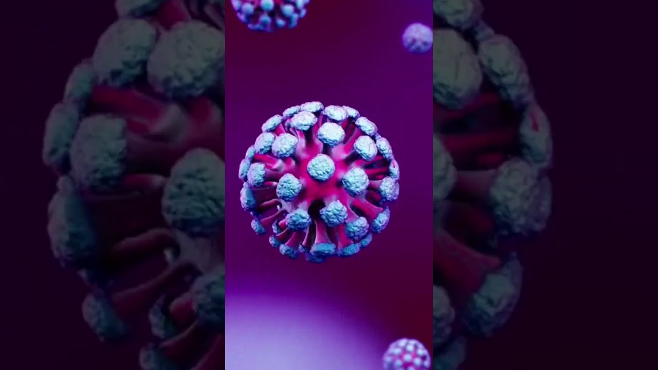 “BSL-1 to BSL-4 Explained in 60 Seconds (From Normal Lab to Ebola Lab)” 