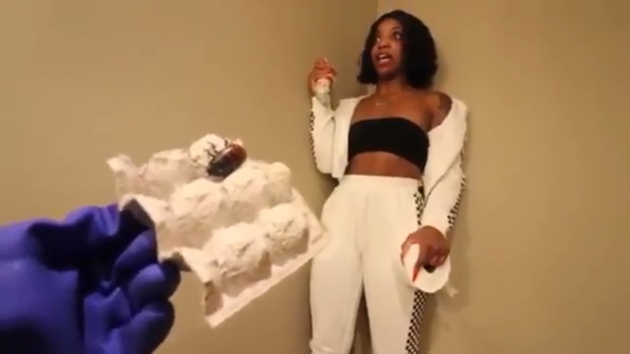 HUGE HISSING COCKROACH PRANK ON GIRLFRIEND - YOUTUBE - FUTURE VIDEOS!!!!!