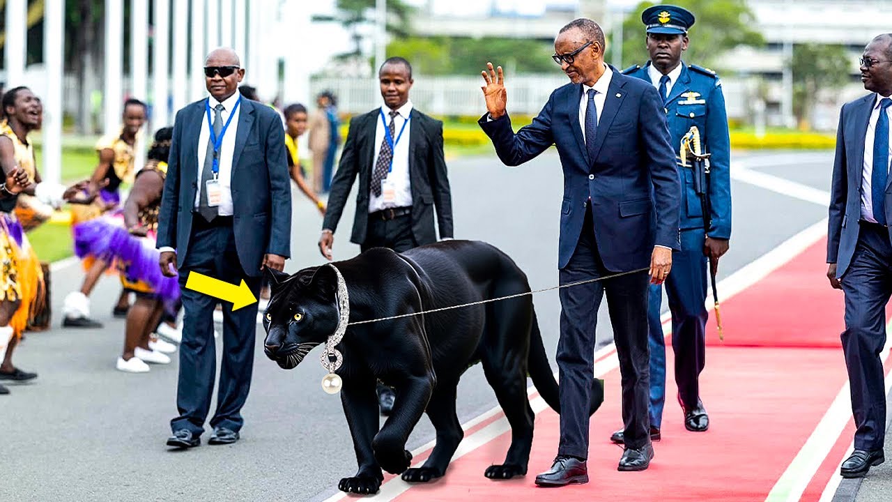 Ces Animaux Étranges des Présidents Africains 😱