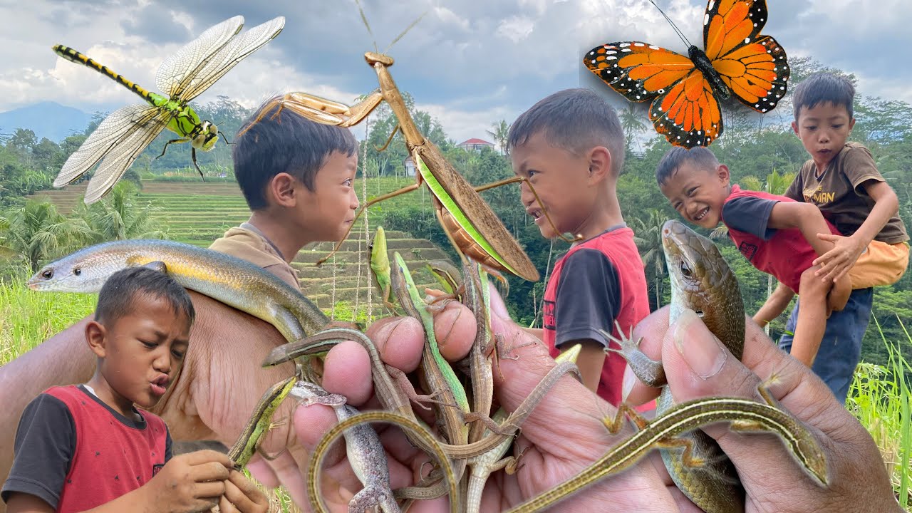 Hunting lizard with kids