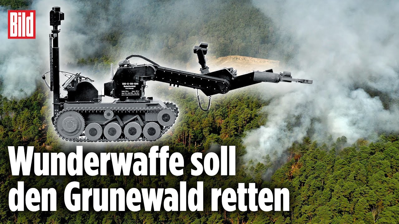 Waldbrand im Grunewald: Jetzt rücken die Roboter an | Berlin