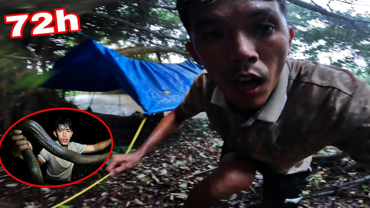 Sang Đ&atilde; Su&yacute;t C.H.Ế.T | Khi Chạm Mặt Loại Cực Đ.&Ocirc;.C N&agrave;y Khi Đang Sinh Tồn 72H Giữa Rừng Mưa 