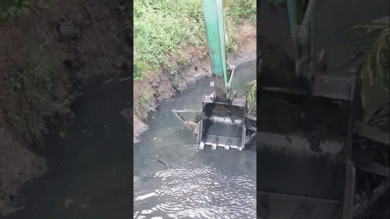 Sekali Serok Dapat ikan banyak menggunakan excavator di parit perkebunan sawit‼️
