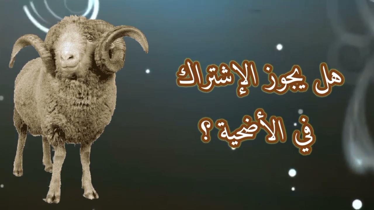 تعرف على حكم الإشتراك في الأضحية. الفقه المالكي