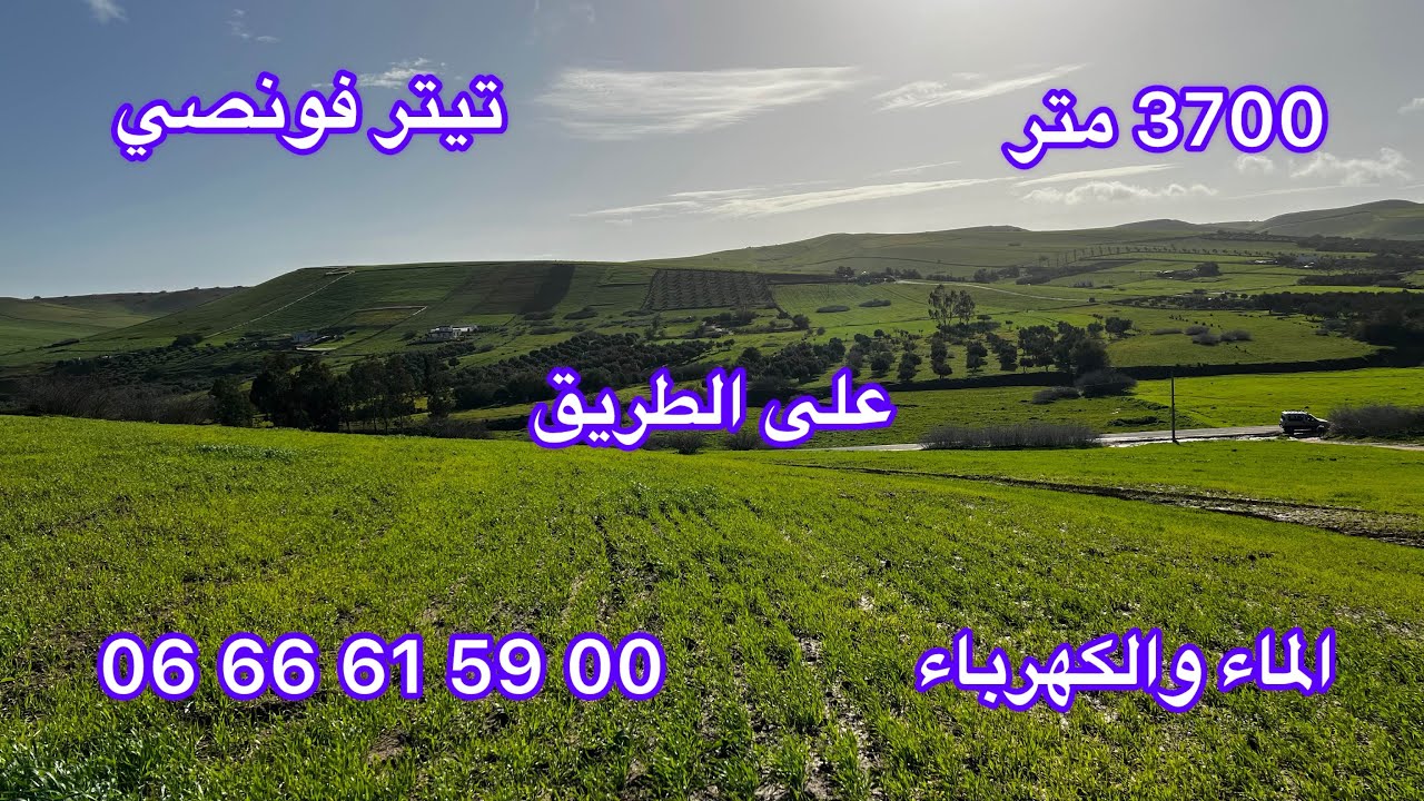 ارض فلاحية على الكودرون 3700 متر محفضة تيتر فونصي بجماعة سيدي علال الصدر الخميسات 