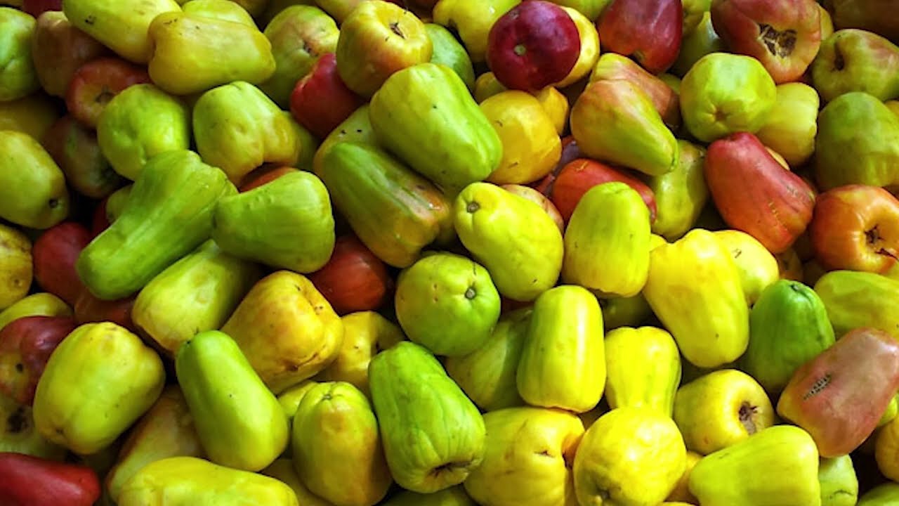 Cashew Production Technology