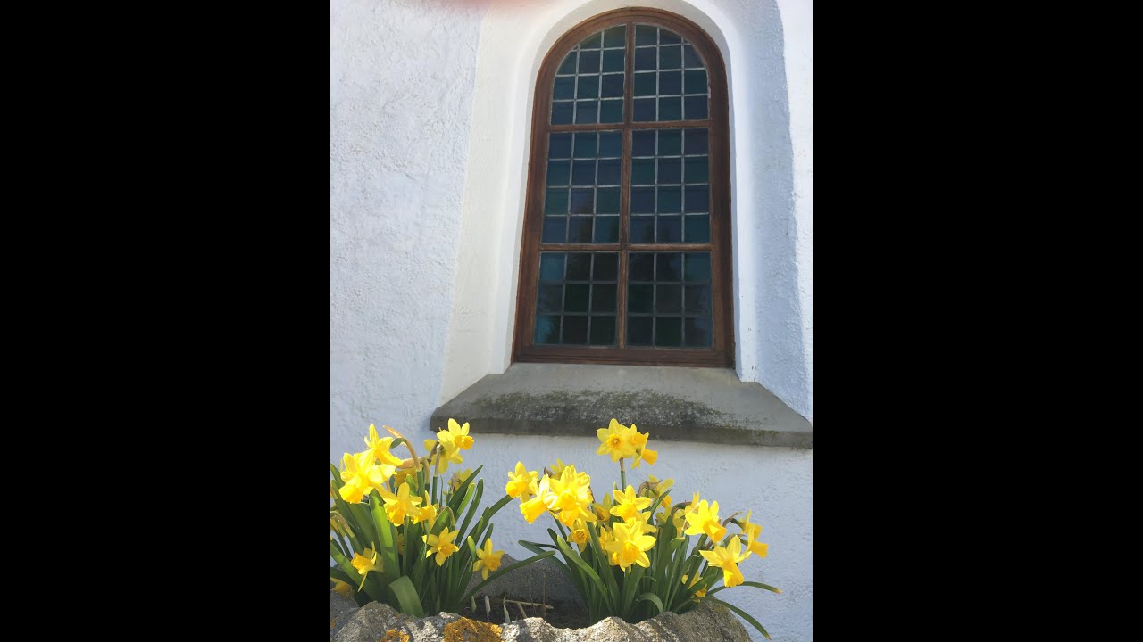 Resurrexit - musik i påsktid - Dina händer är fulla av blommor