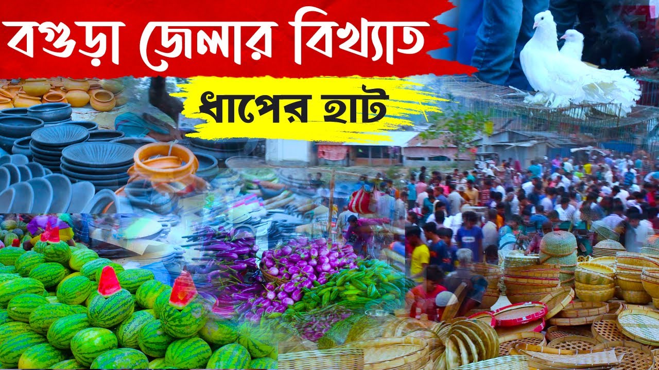 বগুড়ায় দুপচাঁচিয়ার বিখ্যাত ধাপের হাট || ধাপ সুলতানগঞ্জ || ধাপের হাট || village bazar
