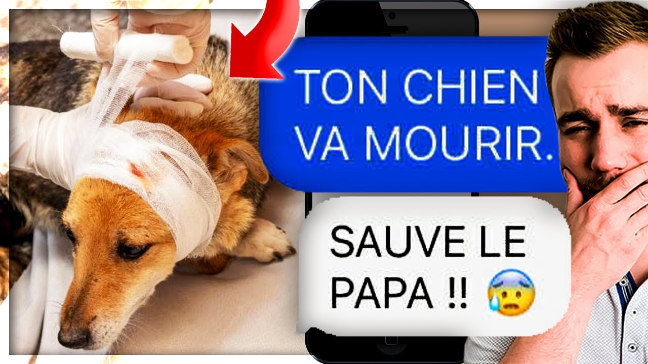 LES PIRES SMS DES PAPAS !
