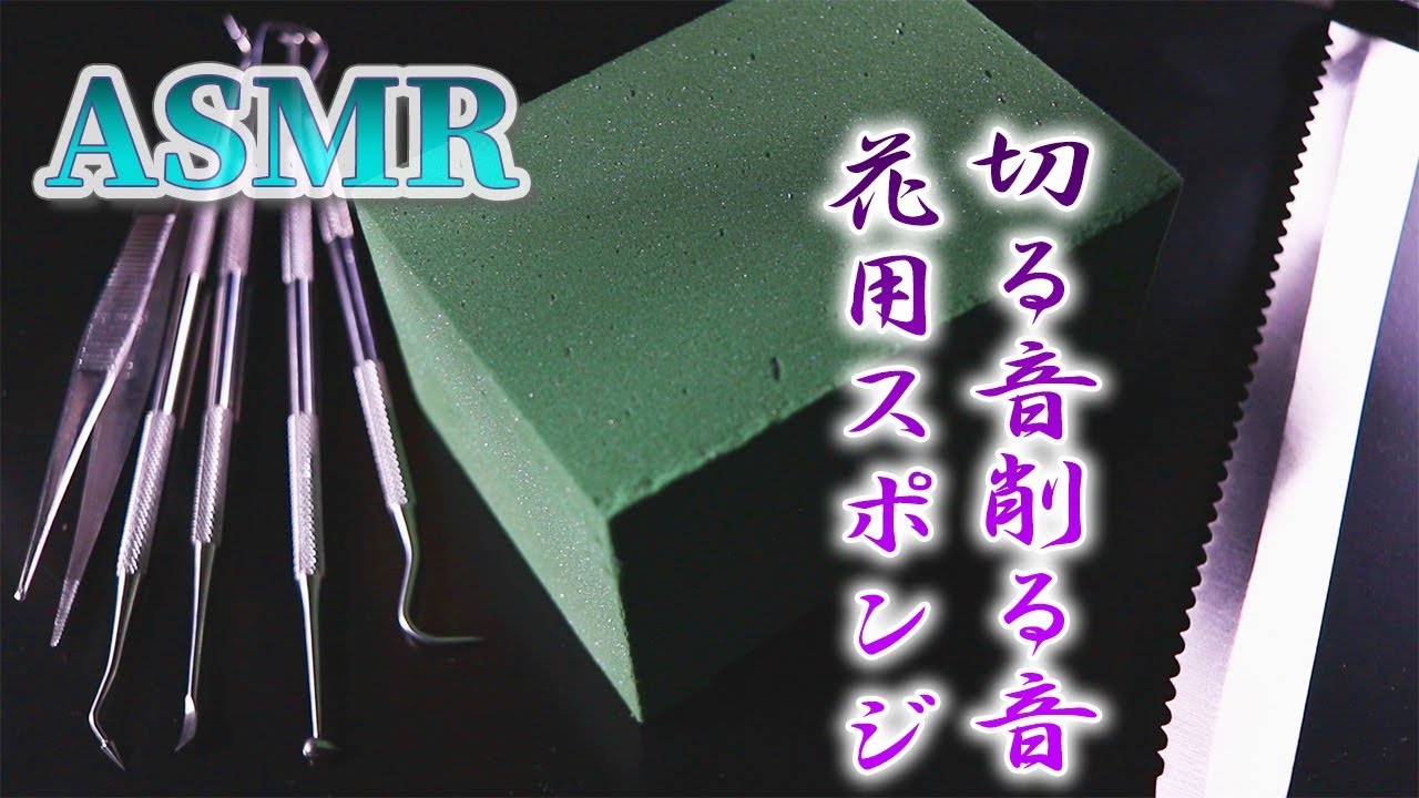 【ASMR】花用スポンジをスケーラー（歯科用器具）とパン切包丁で切り削るサクサクショリショリ気持ちの良い音【音好き】