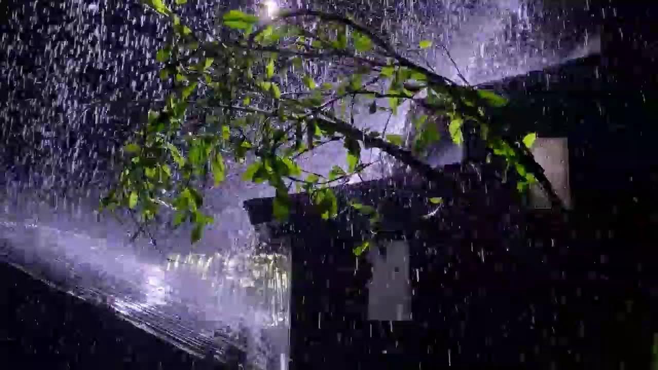 Heavy Rain on Tin Roof 🌧️ Fall Asleep Instantly