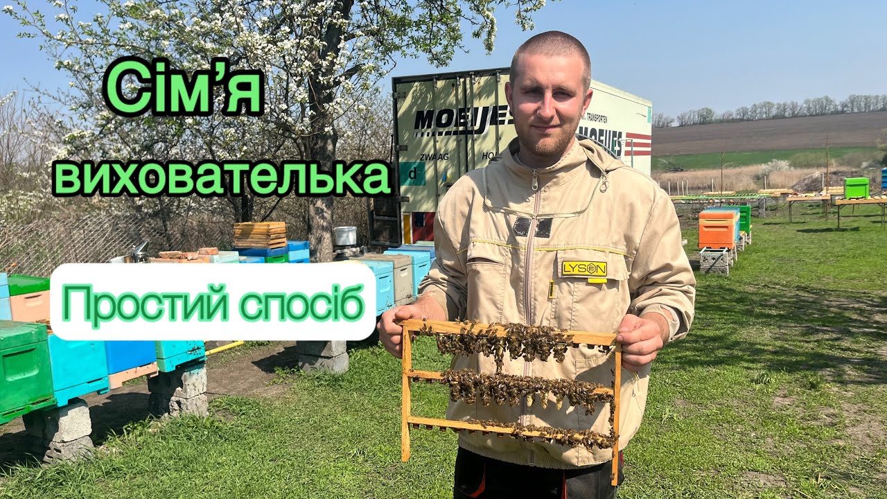 Виведення маток 🐝 Як зробити сімʼю виховательку? Найлегший спосіб 🔝