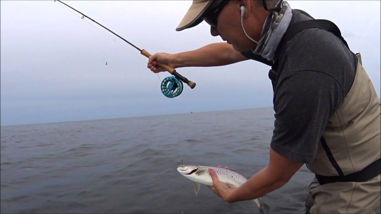 flyfish4fun.se ( Om flugfiske efter havs&ouml;ring 2 )