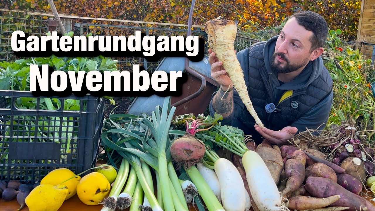 Gartenrundgang November, Gartenarbeiten im Herbst