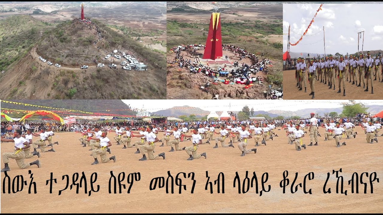 Mreka hawelti koraro