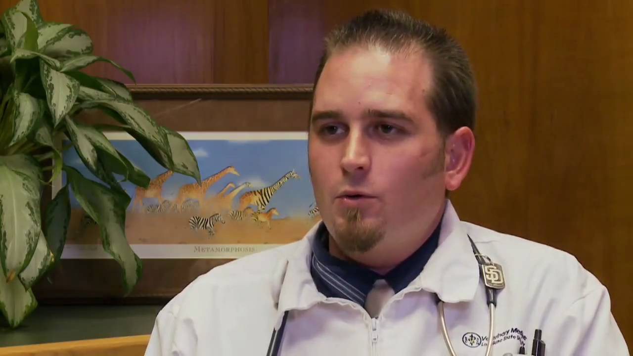 LSU Mobile Veterinary Clinic