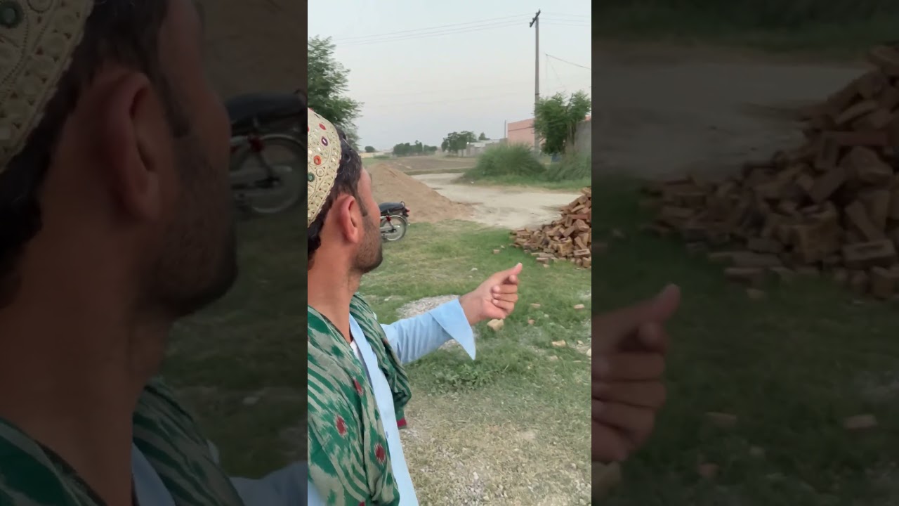 #funnyanimal #shortvideo #birds #greenparrot