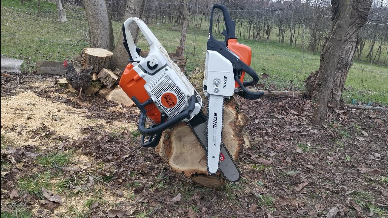 STIHL ms 362 da, STIHL ms 170 nu în lemnul acesta. Vă salut pe toți.