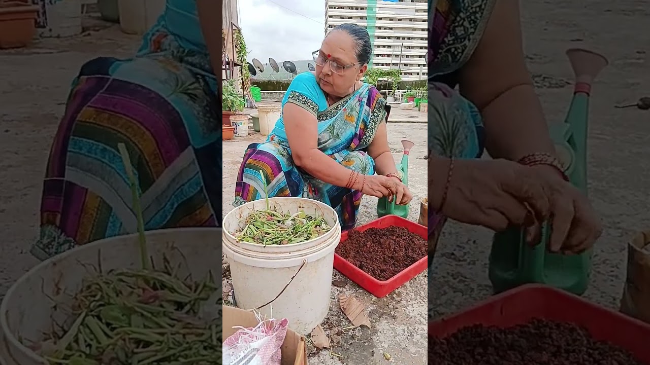 Kam mitti me gamla kaise bhare #on dimand requested video #latest #new #viral #terracegardening