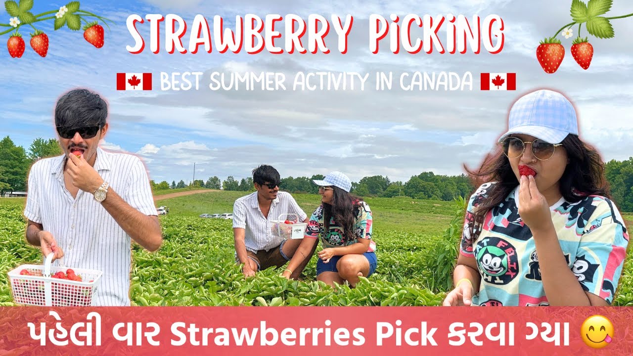 Peli Var Strawberries Pick Karva Gya 😋| Brantwood Farms, Ontario 🇨🇦