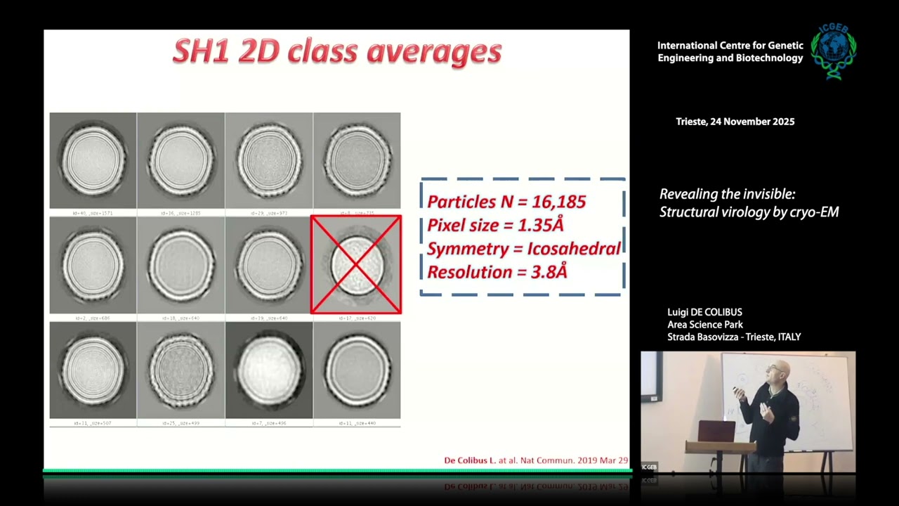 L. De Colibus - Revealing the invisible: Structural virology by cryo-EM