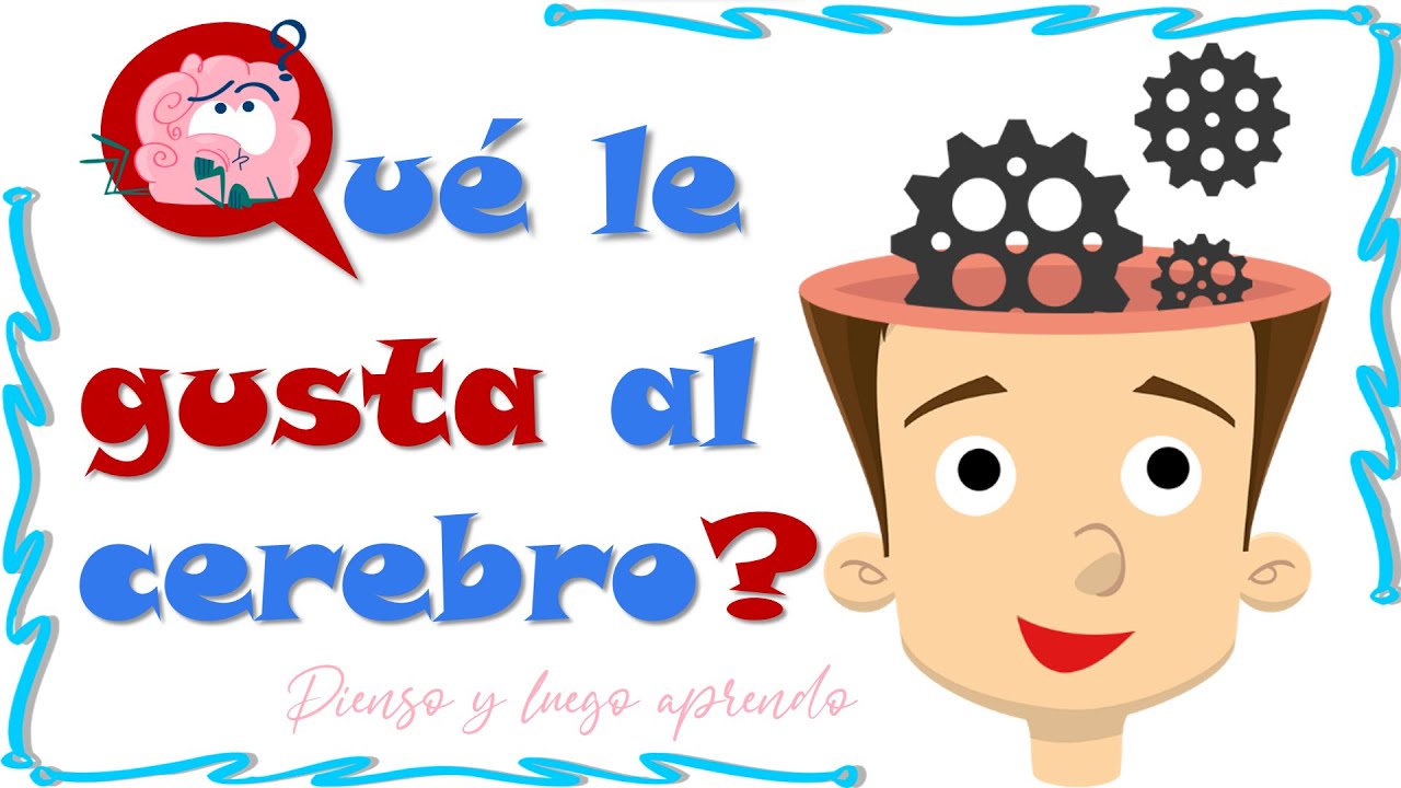 Neurociencia: trucos que le gustan al cerebro para aprender | Pienso y luego aprendo.