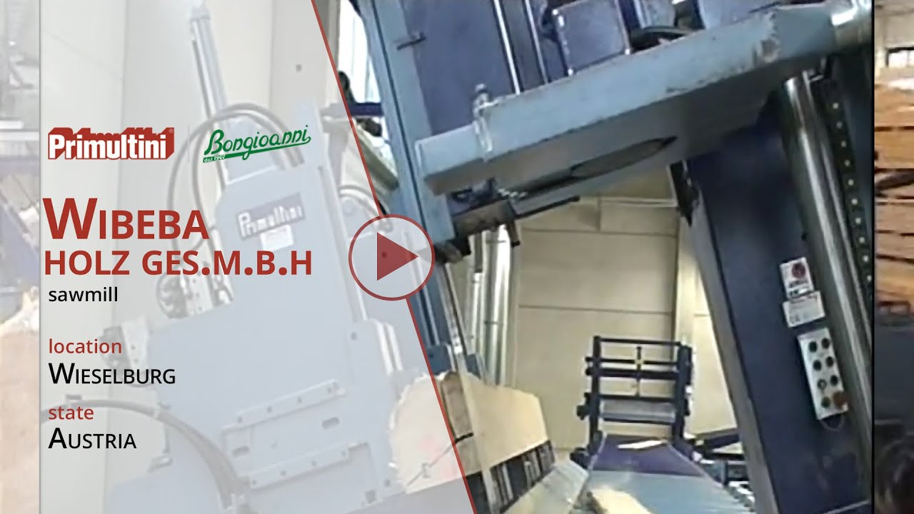 Sawmill Wibeba - Primultini