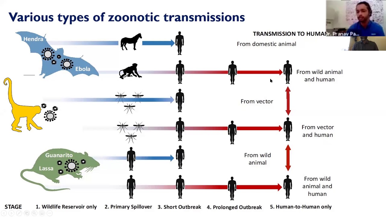Pranav Pandit: One Health Approach for Preventing Emerging Viruses of Pandemic Potential