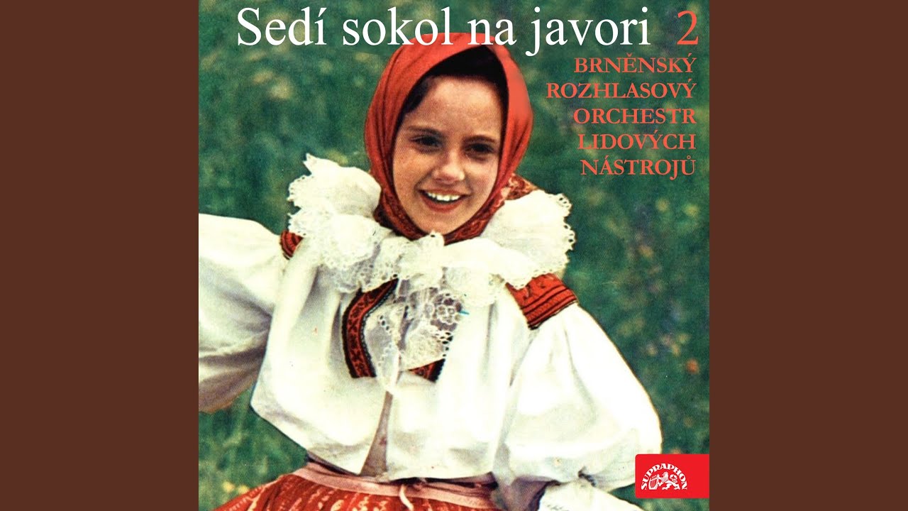 V širém poli studánečka