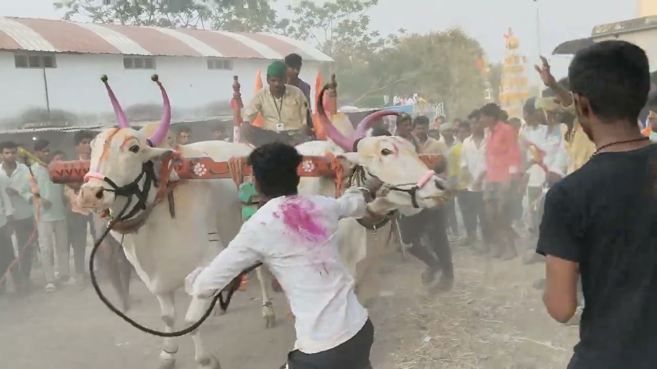 ತೆರಬಂಡಿ ಪ್ರೇಮಿ 🚩🚩