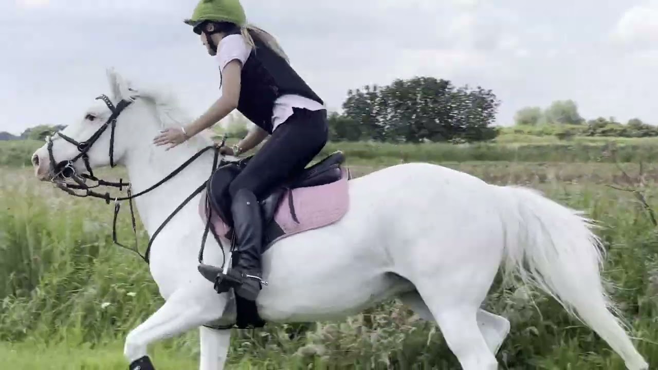 Sophie and ASHA XC Training #goprohero12 #gopro #XCtraining #horses #lincolnshire