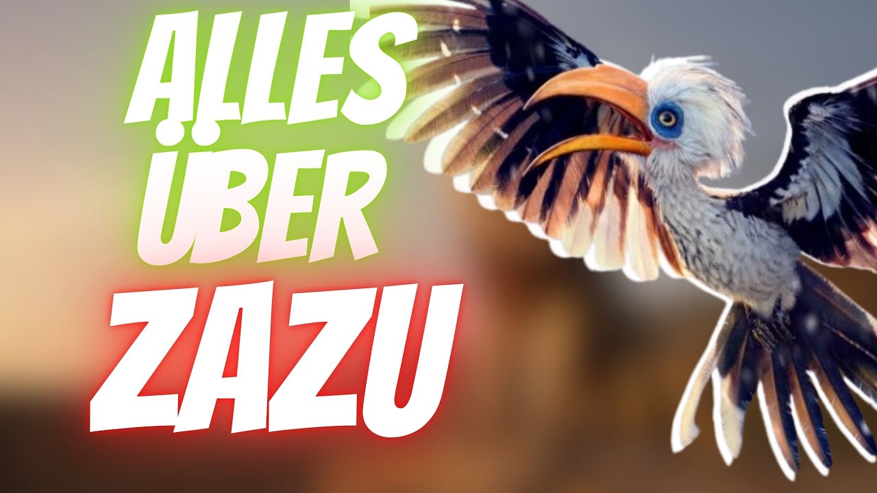 Alles über Zazu |DerFlozi König der Löwen