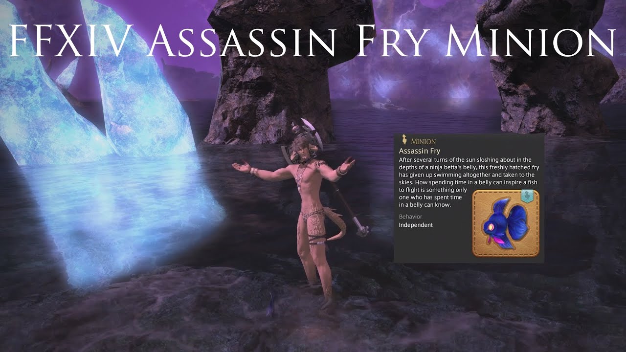 FFXIV Assassin Fry Minion