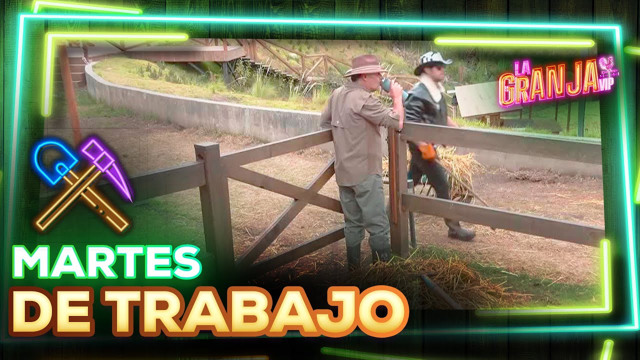 Así trabajan con los animales los granjeros en su último martes en La Granja VIP