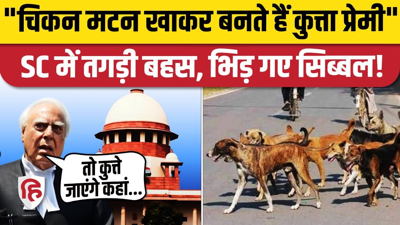 Supreme Court on Stray Dogs: सरकार के वकील से क्यों भिड़ गए Kapil Sibal, तगड़ी बहस | Delhi MCD