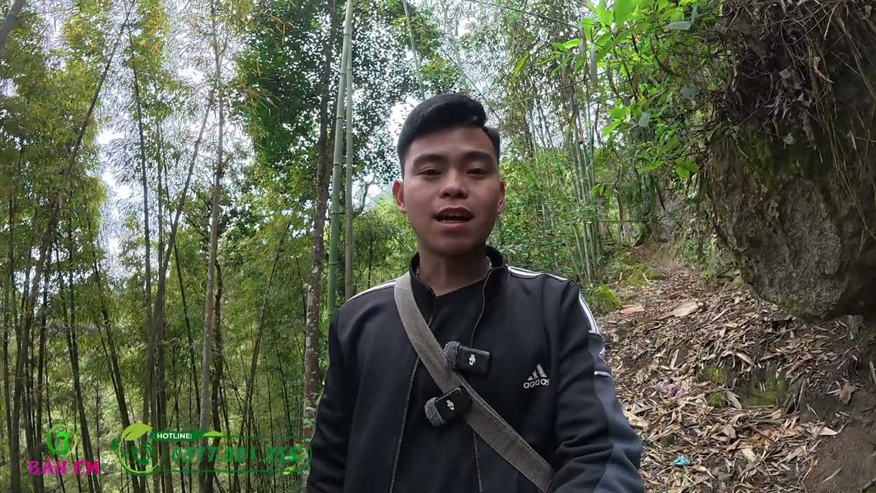 Vào Làng Mông Xin Thuốc Nam Và Biết Ở Đây Người Ta  Ăn Tết 10 Ngày Nhưng Không Làm Bánh Chưng
