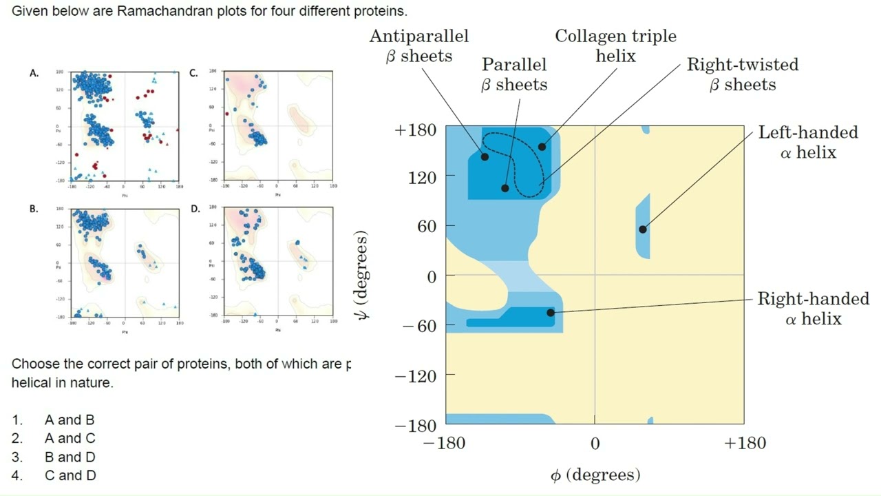 Don't know about protein's phi psi angles? Let me change that