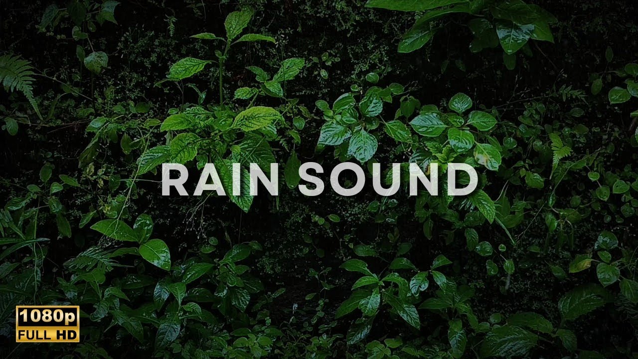 Gentle Rainfall on Leaves | Nature ASMR for Stress Relief