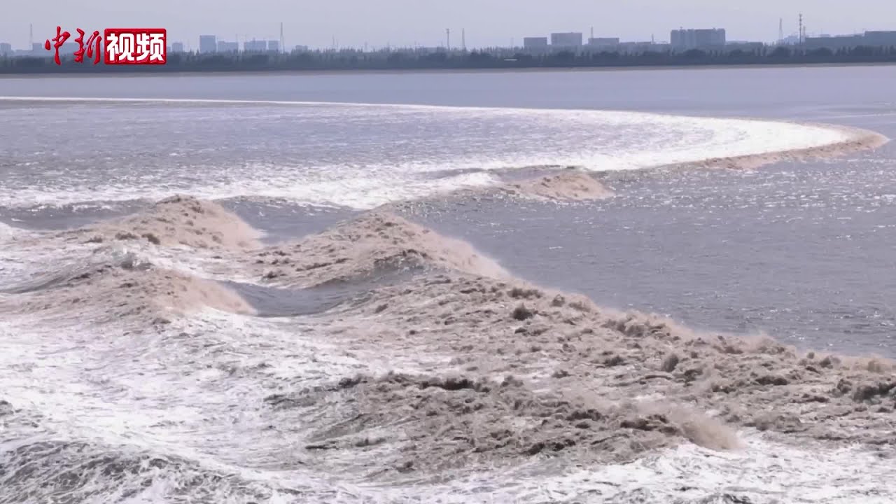 浙江：农历八月十八 再现钱塘江大潮自然奇观